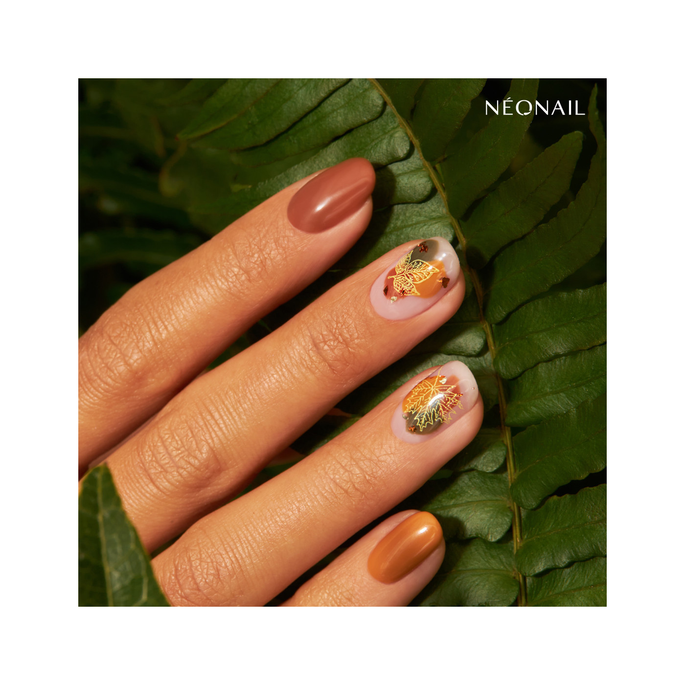 Blaszka do stempli Stamping plate 21