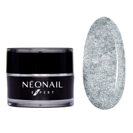 Paint UV Gel NN Expert 5 ml - Metalic Silver