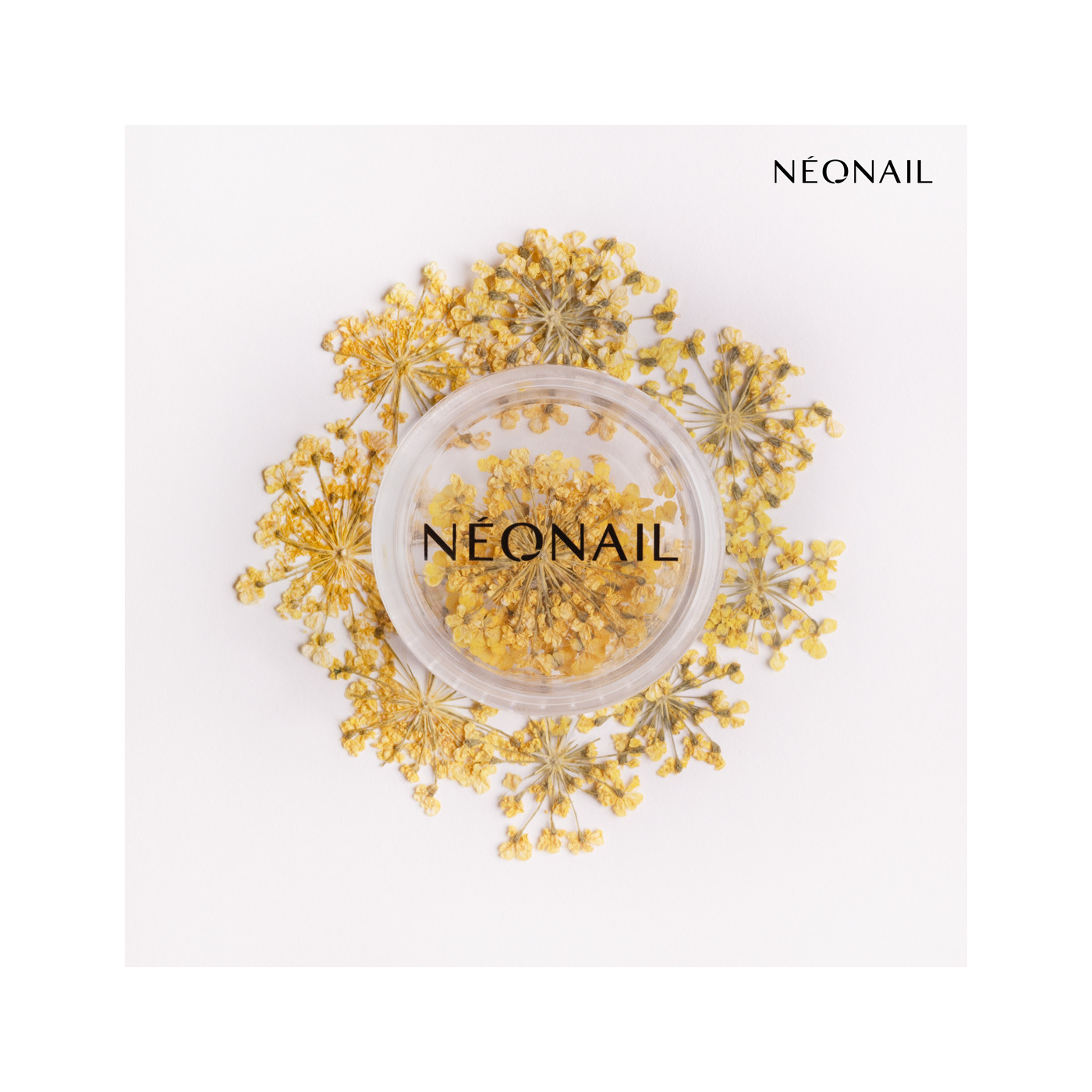 Ozdoba kwiaty 06 - Violet