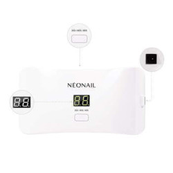 Zestaw 21 Days Starter Set Basic II