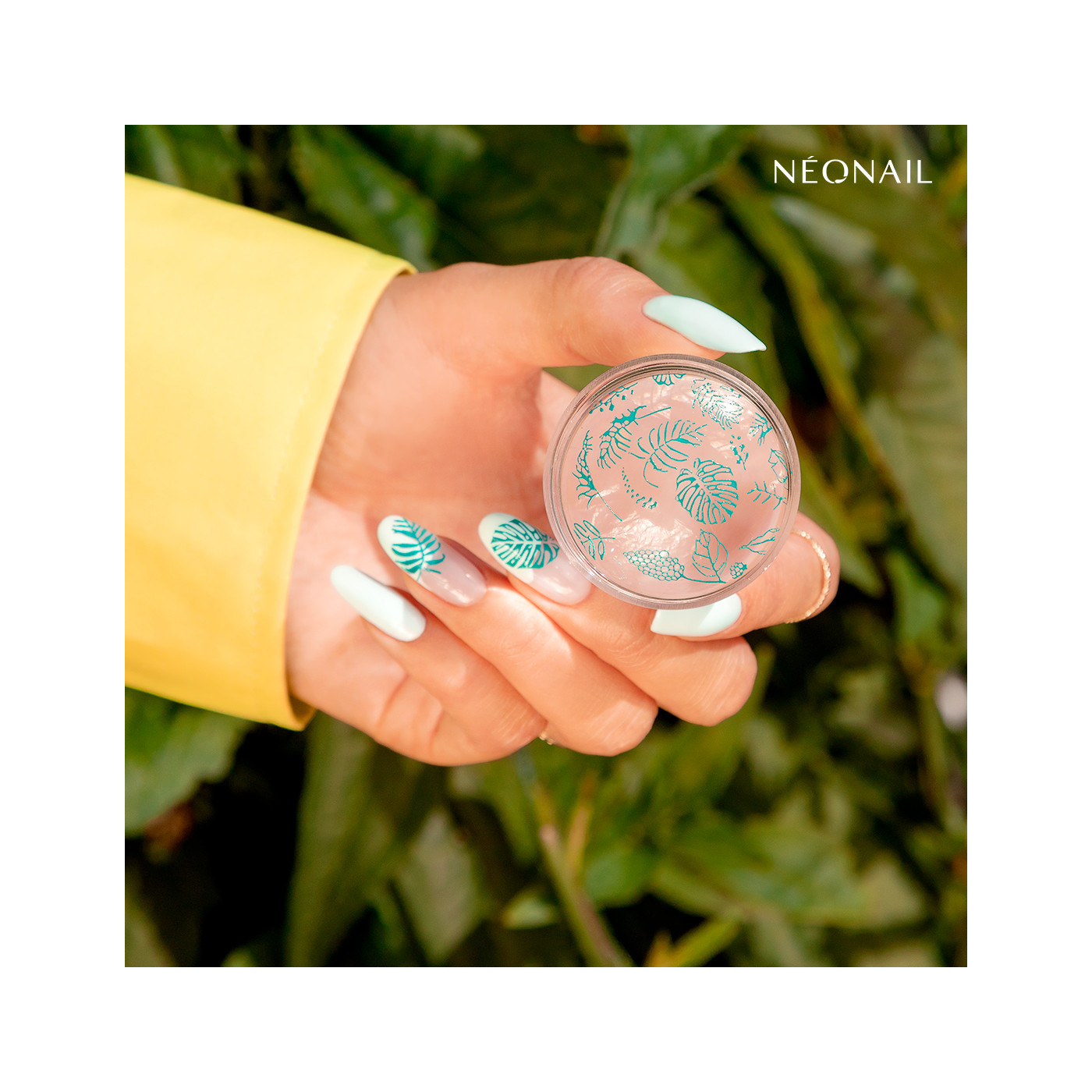 Blaszka do stempli Stamping plate 16 Blaszka do stempli Stamping plate 16