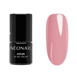 Zestaw startowy Essentials