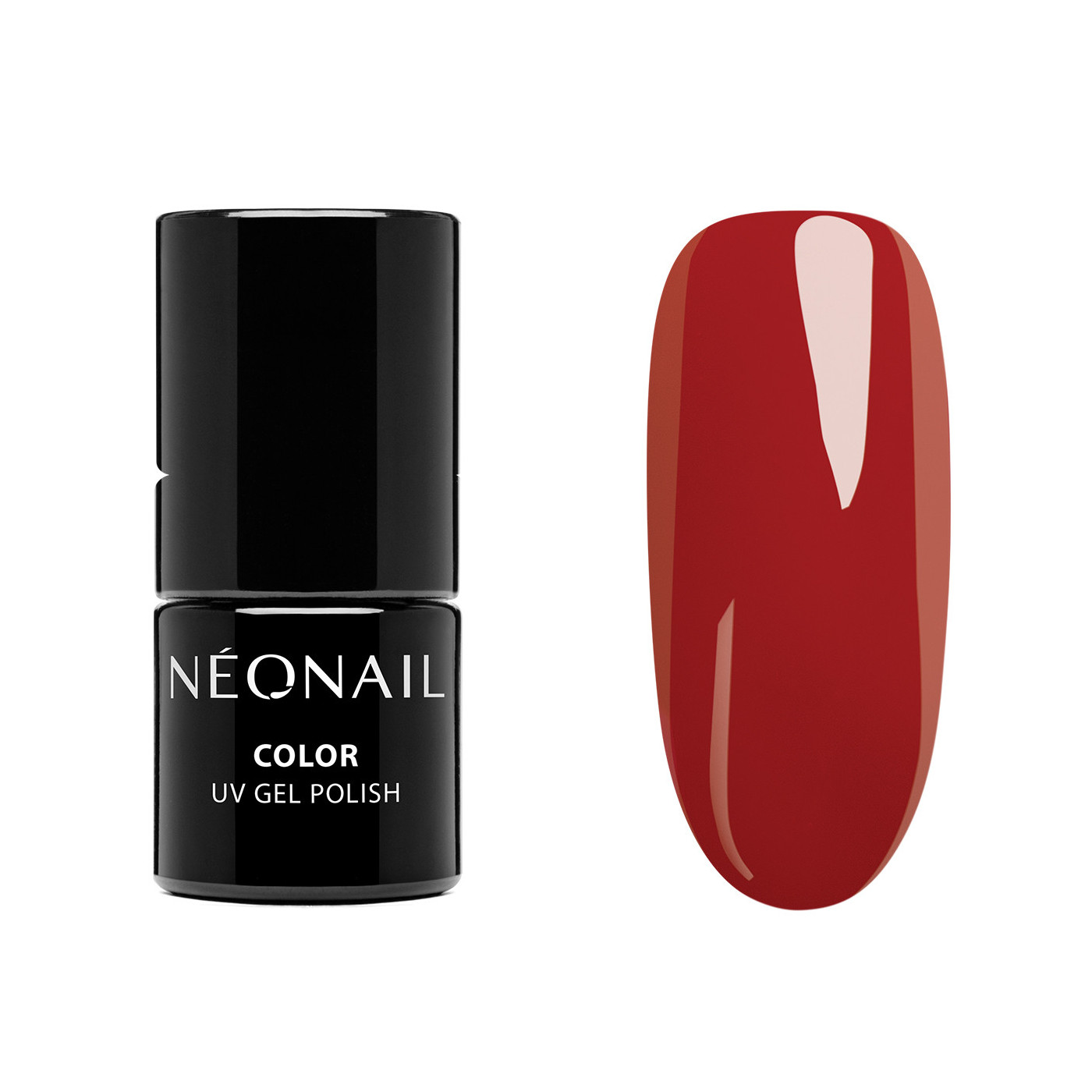 Zestaw startowy Color Favorites