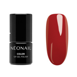 Zestaw startowy Color Favorites