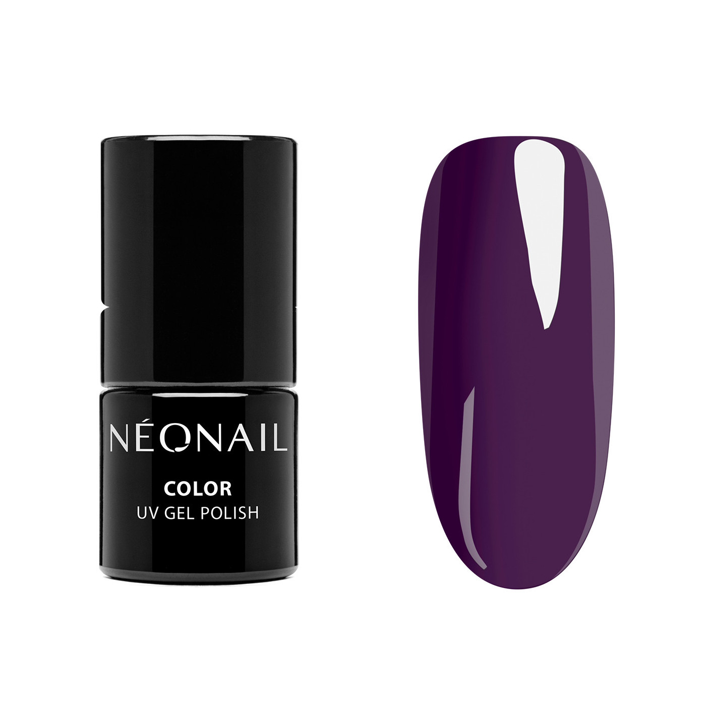 Zestaw startowy Color Favorites