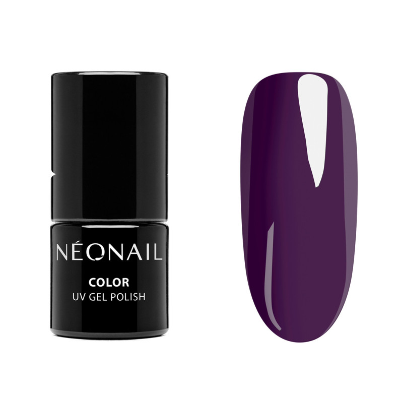 Zestaw startowy Color Favorites