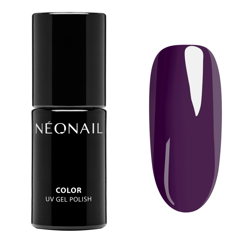 Zestaw startowy Signature Selection