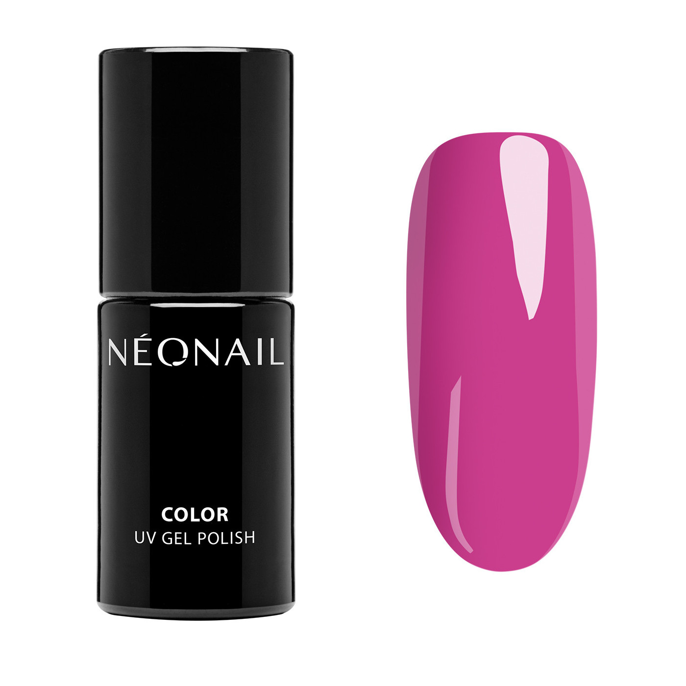 Zestaw startowy Signature Selection