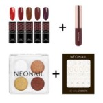 Zestaw jesienny Manicure Pro - 5 lakier&oacute;w do wyboru + naklejki 3D i pyłki | NEONAIL