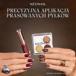 Zestaw jesienny Manicure Pro - 5 lakier&oacute;w do wyboru + naklejki 3D i pyłki | NEONAIL